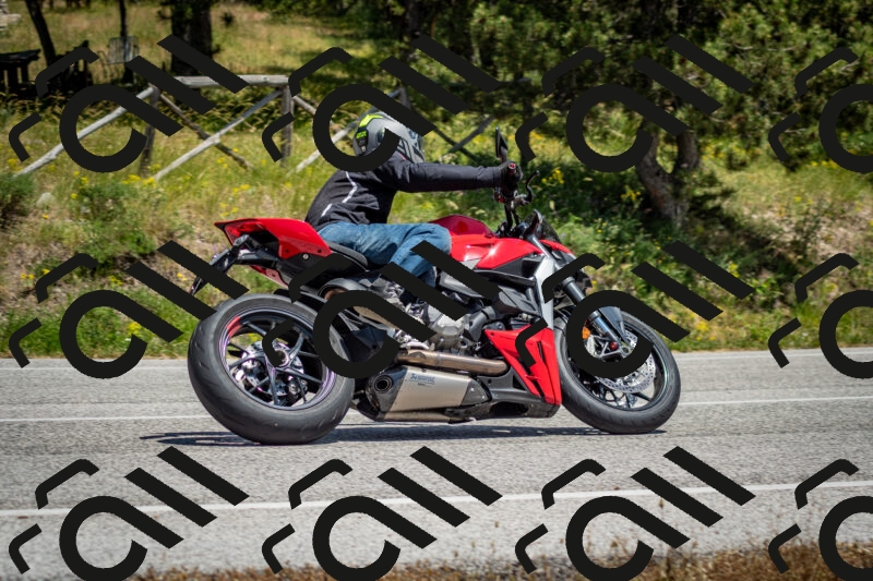 202506141351-DSC_8535_c2