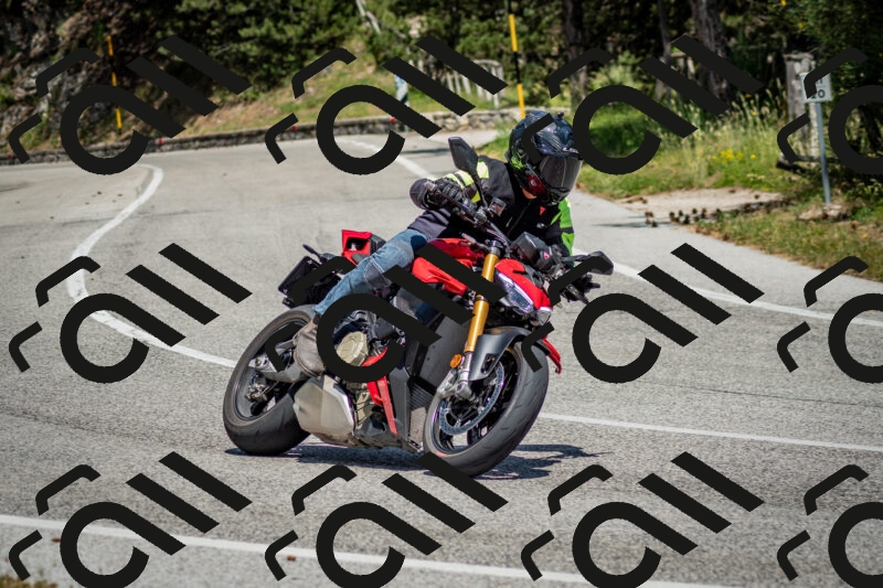 202506141354-DSC_8537_c2