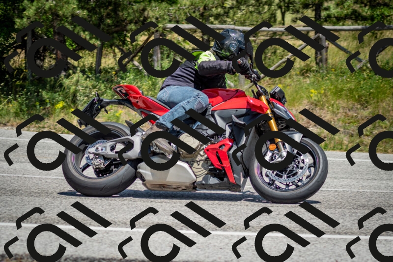 202506141354-DSC_8538_c2