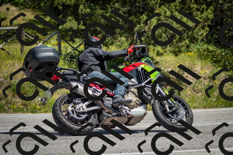 202506141354-DSC_8542_c2