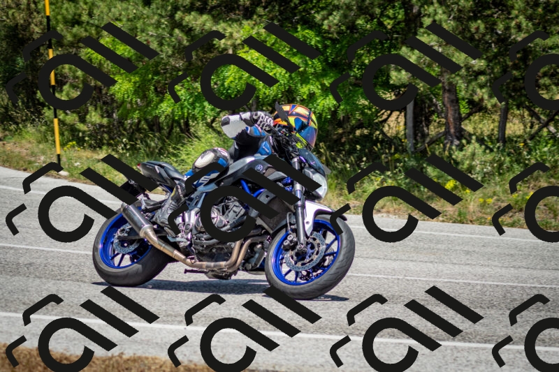 202506141356-DSC_8545_c2