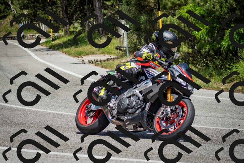 202506141356-DSC_8547_c2