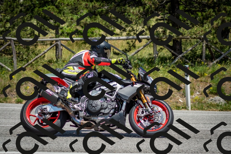 202506141356-DSC_8548_c2