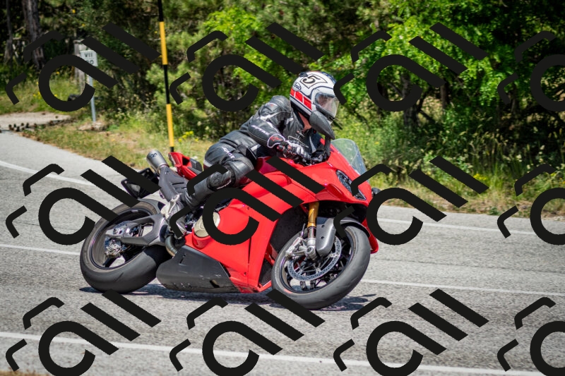 202506141358-DSC_8560_c2