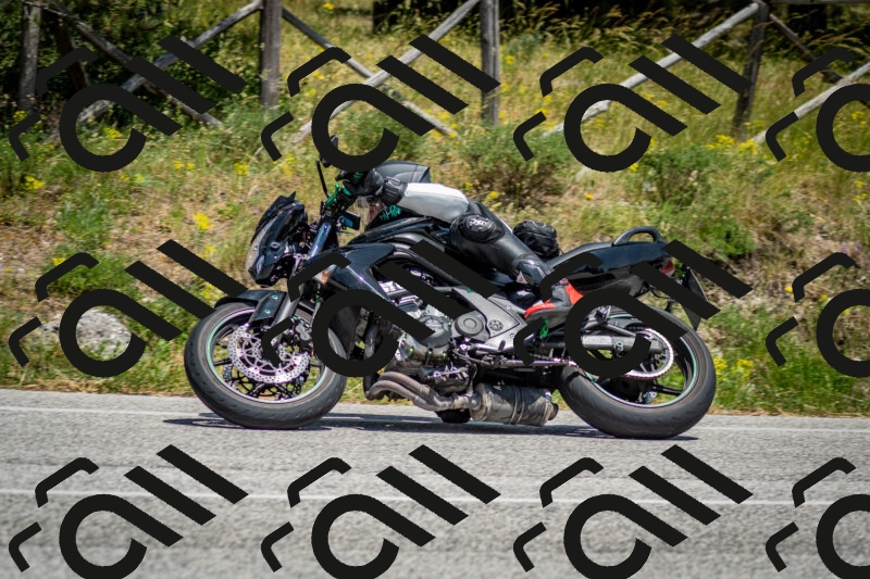 202506141359-DSC_8567_c2