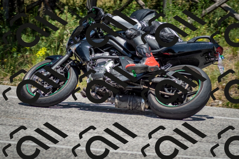 202506141359-DSC_8568_c2