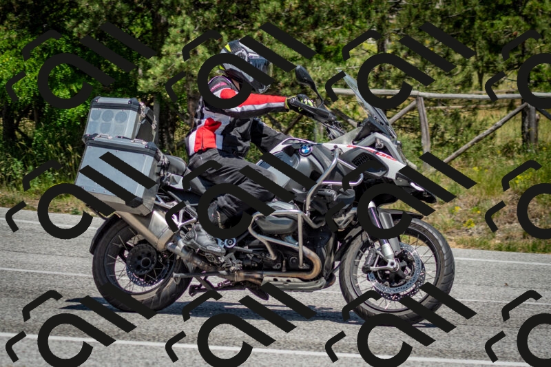 202506141359-DSC_8571_c2