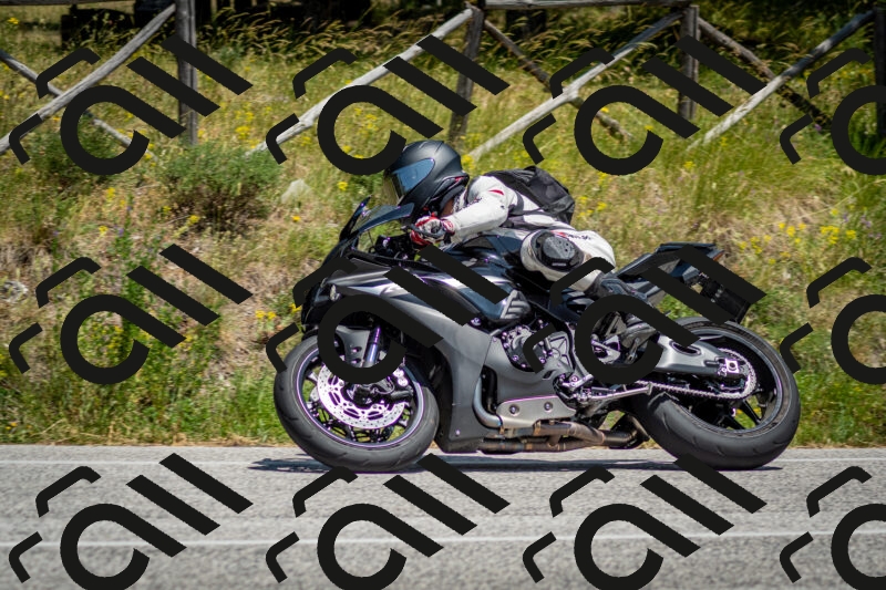 202506141402-DSC_8580_c2