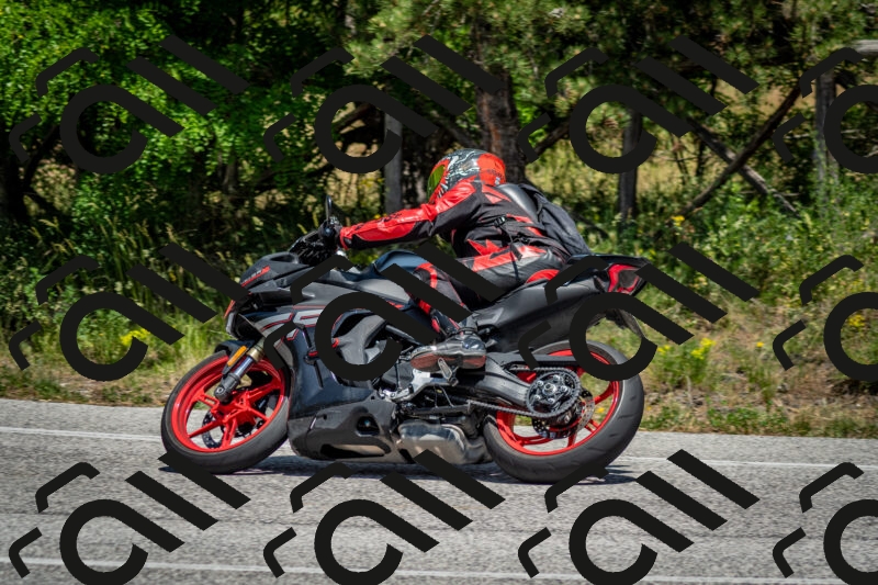 202506141402-DSC_8584_c2