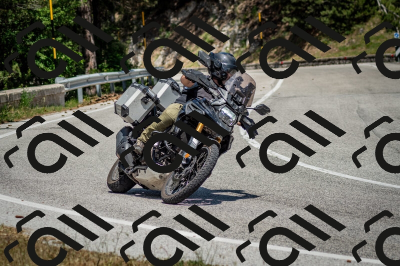 202506141404-DSC_8585_c2