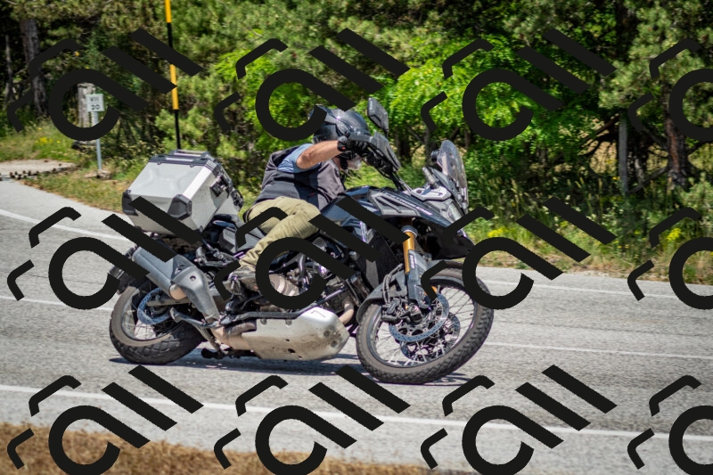 202506141404-DSC_8586_c2