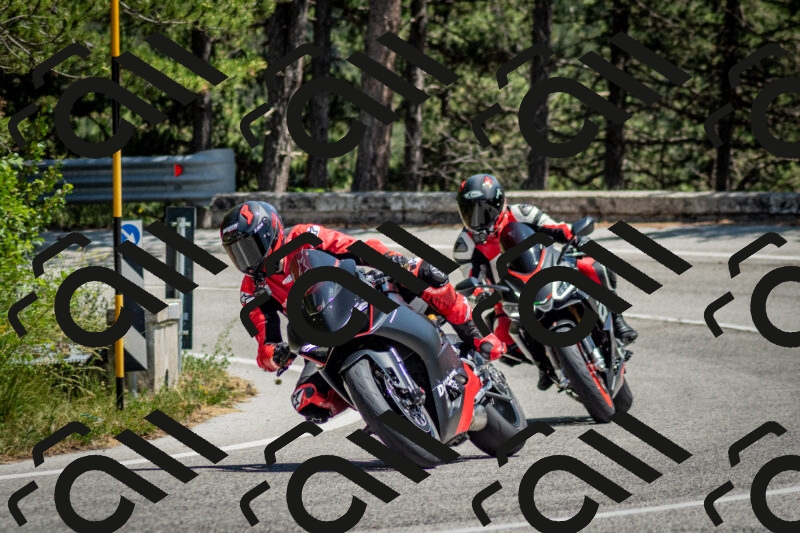 202506141406-DSC_8594_c2