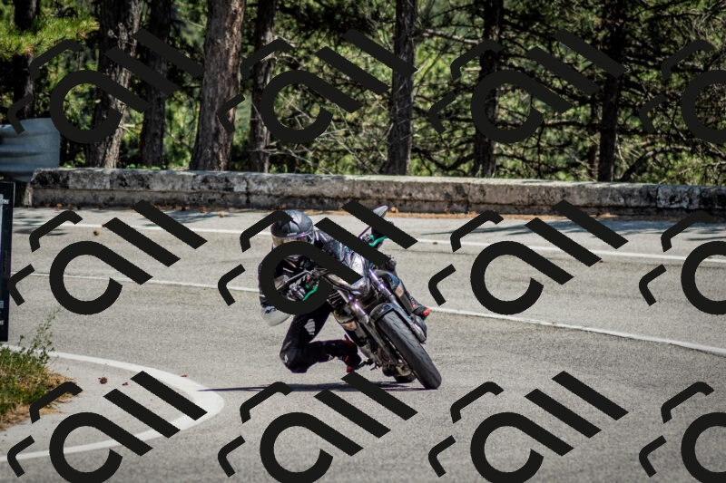 202506141407-DSC_8599_c2