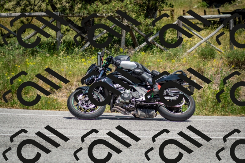 202506141407-DSC_8602_c2