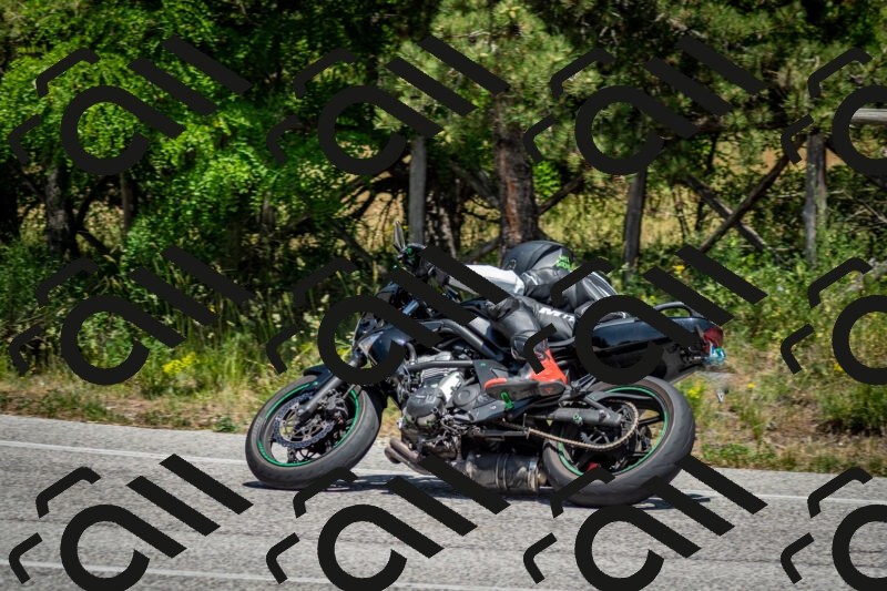 202506141407-DSC_8603_c2