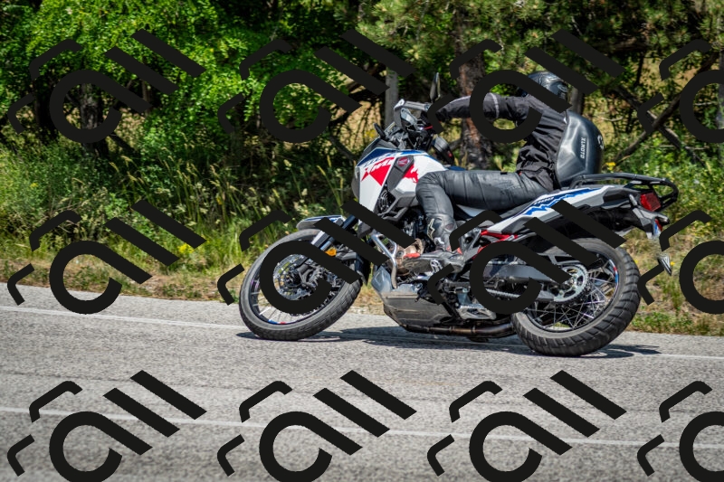 202506141408-DSC_8609_c2