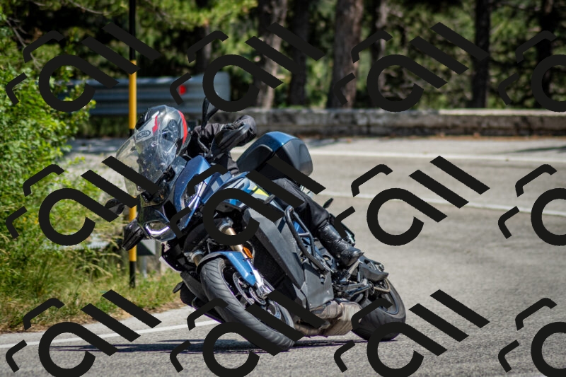 202506141408-DSC_8610_c2