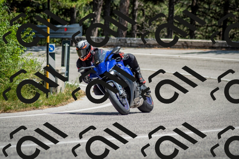 202506141408-DSC_8614_c2