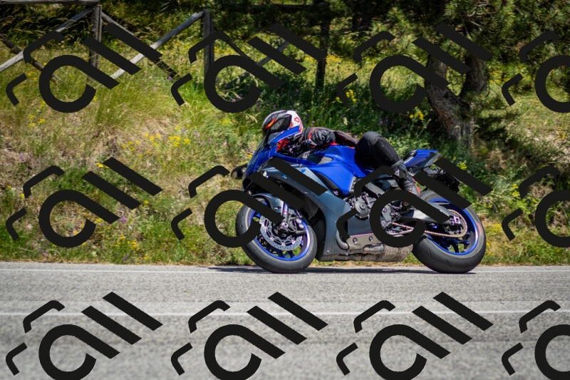 202506141408-DSC_8615_c2