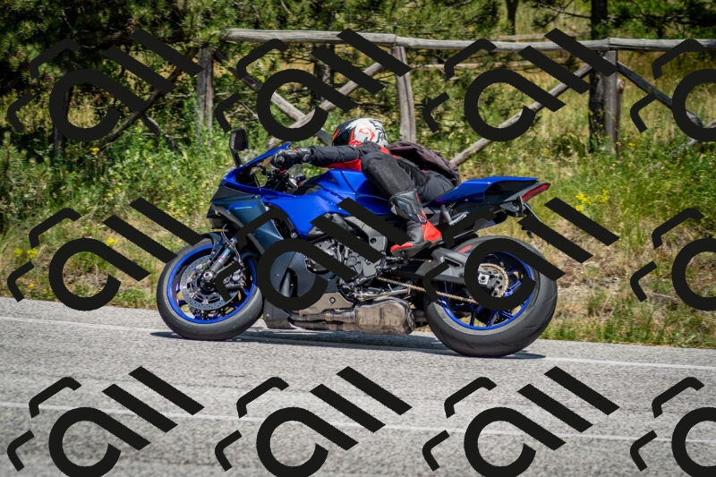 202506141408-DSC_8616_c2