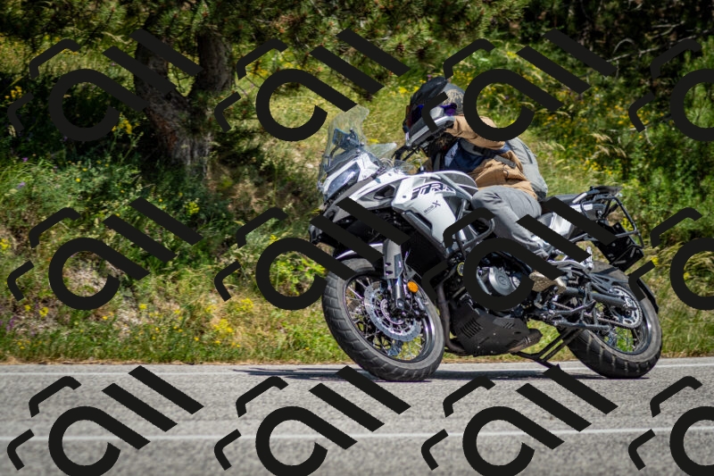 202506141408-DSC_8617_c2