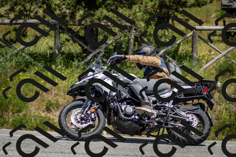 202506141408-DSC_8618_c2