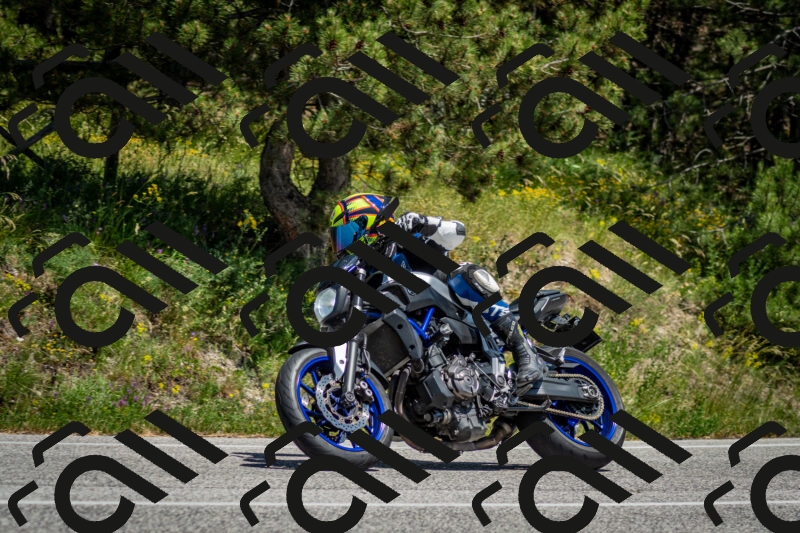 202506141409-DSC_8623_c2