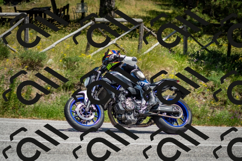 202506141409-DSC_8624_c2