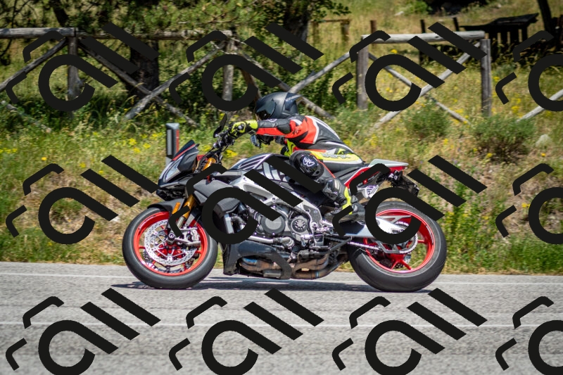 202506141409-DSC_8625_c2