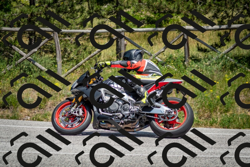 202506141409-DSC_8626_c2