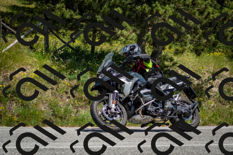 202506141409-DSC_8628_c2