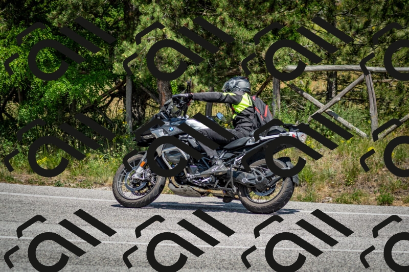 202506141409-DSC_8629_c2