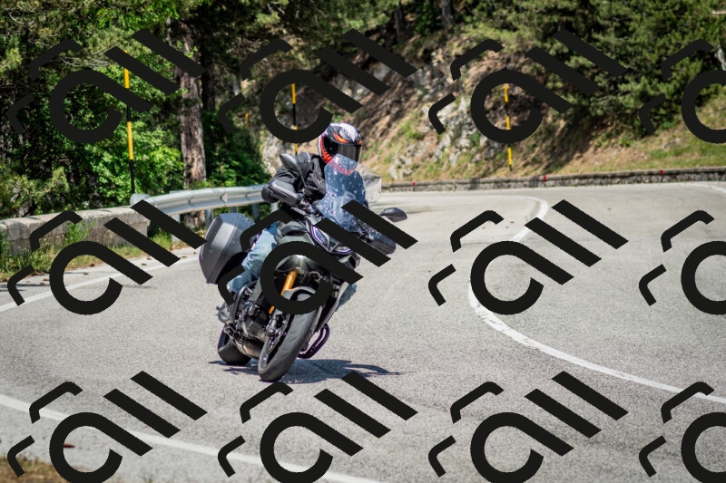 202506141410-DSC_8630_c2