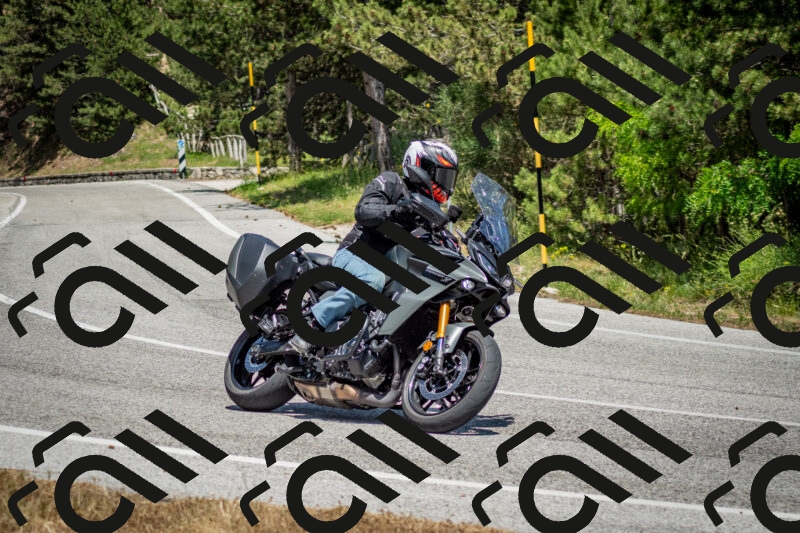 202506141410-DSC_8631_c2