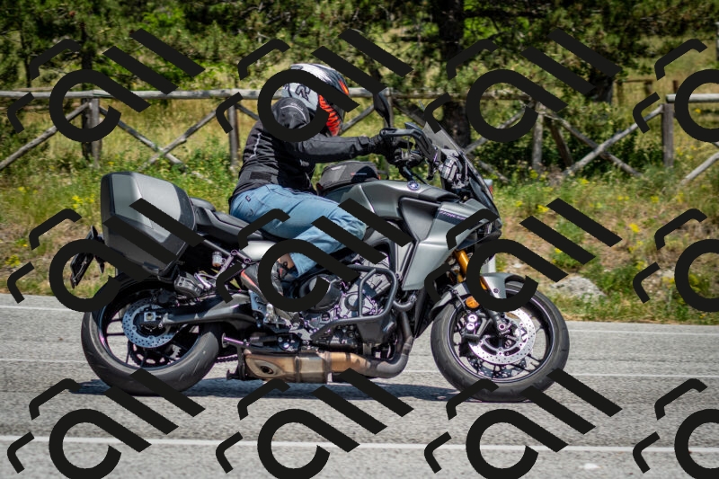 202506141410-DSC_8632_c2