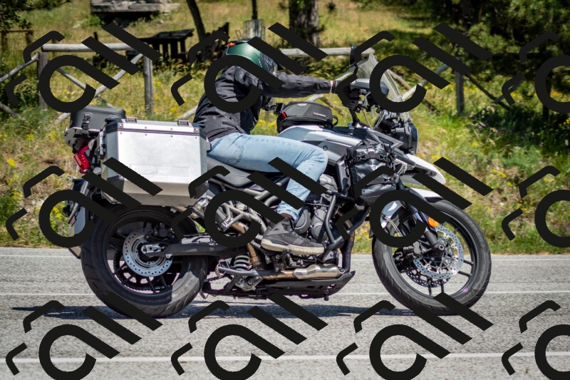 202506141410-DSC_8636_c2