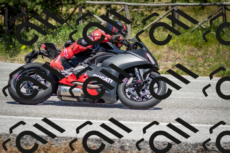 202506141412-DSC_8641_c2