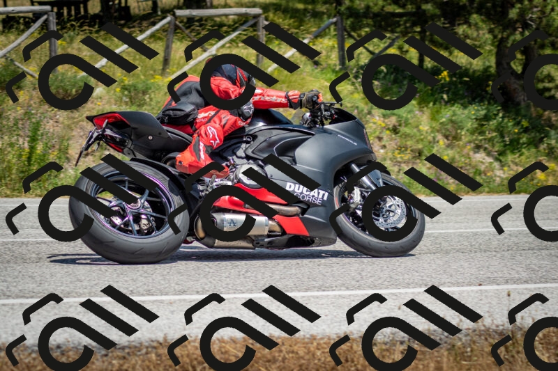 202506141412-DSC_8642_c2