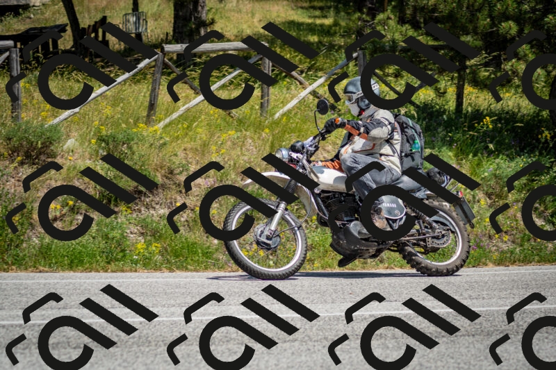 202506141412-DSC_8644_c2