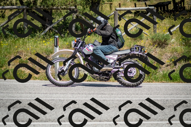 202506141412-DSC_8645_c2