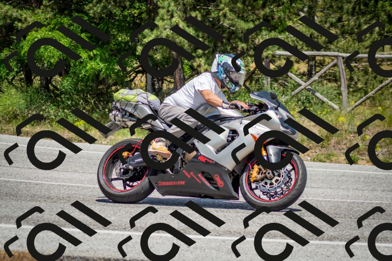 202506141414-DSC_8647_c2