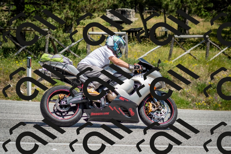 202506141414-DSC_8648_c2