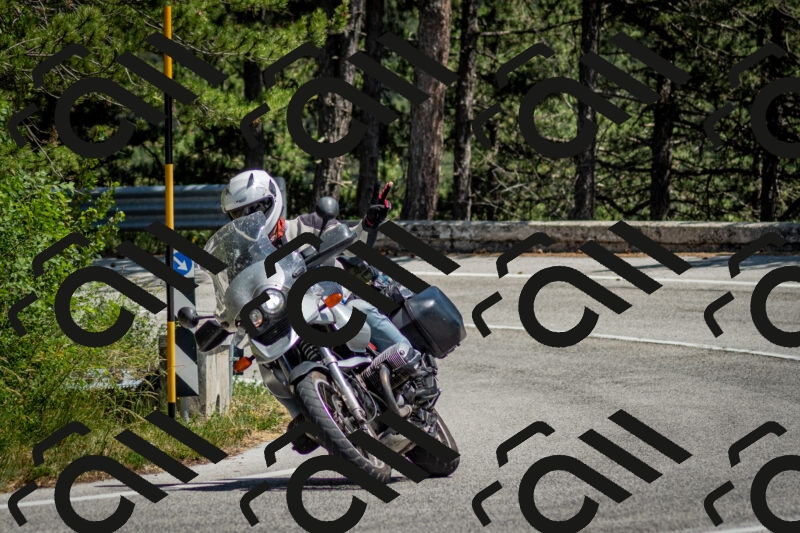 202506141414-DSC_8649_c2