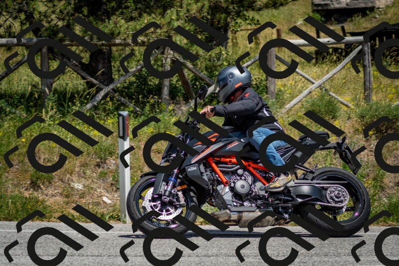 202506141414-DSC_8653_c2