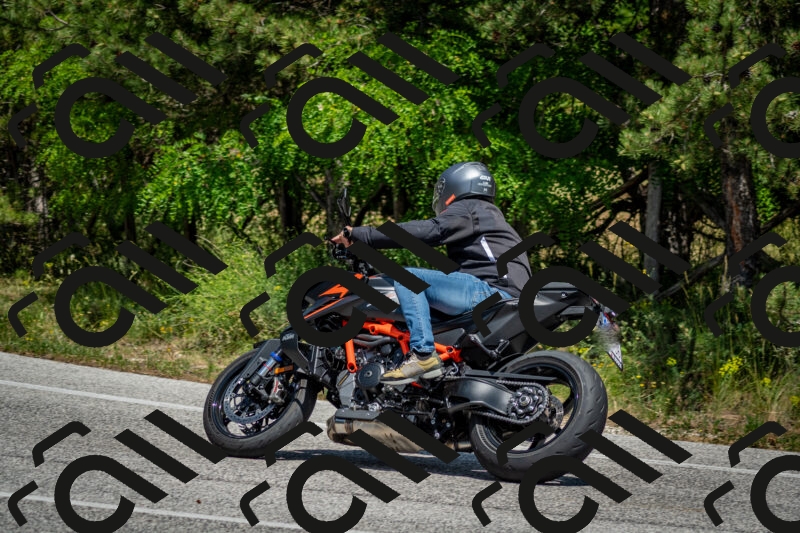 202506141414-DSC_8654_c2