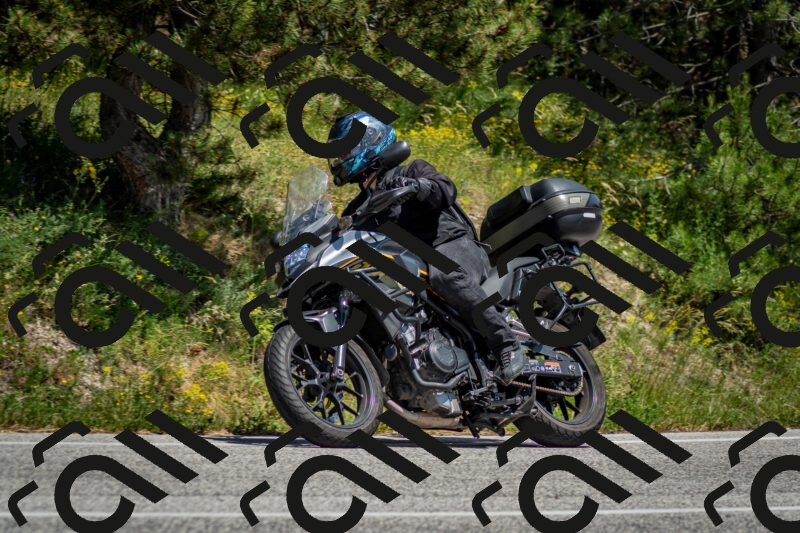 202506141414-DSC_8655_c2