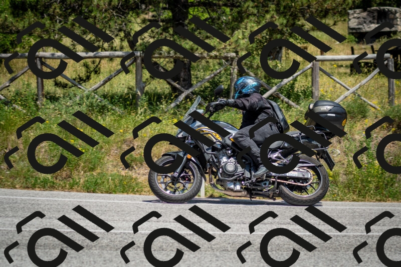 202506141414-DSC_8656_c2