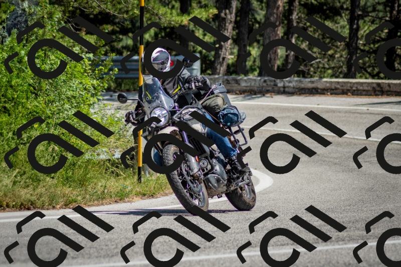 202506141414-DSC_8657_c2