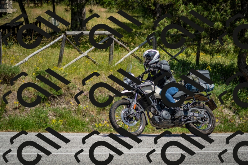 202506141414-DSC_8658_c2