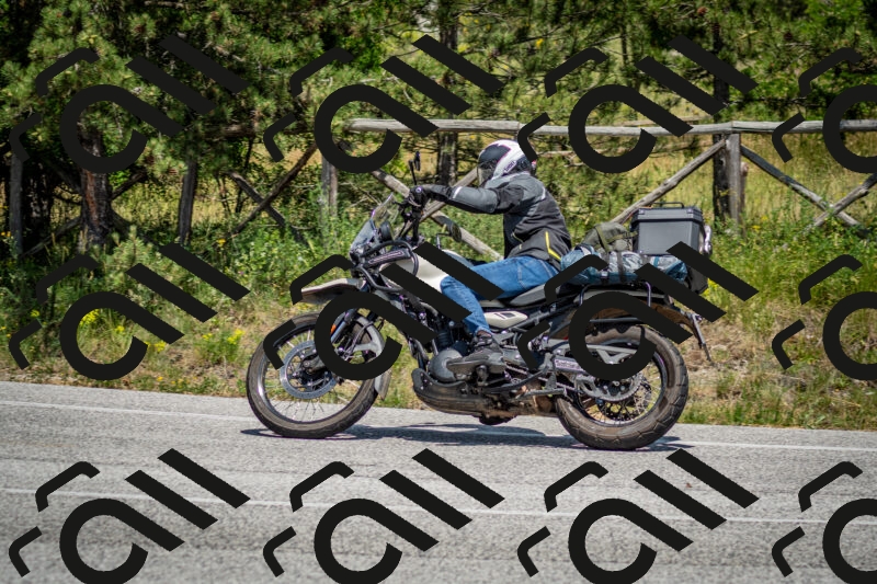 202506141414-DSC_8659_c2